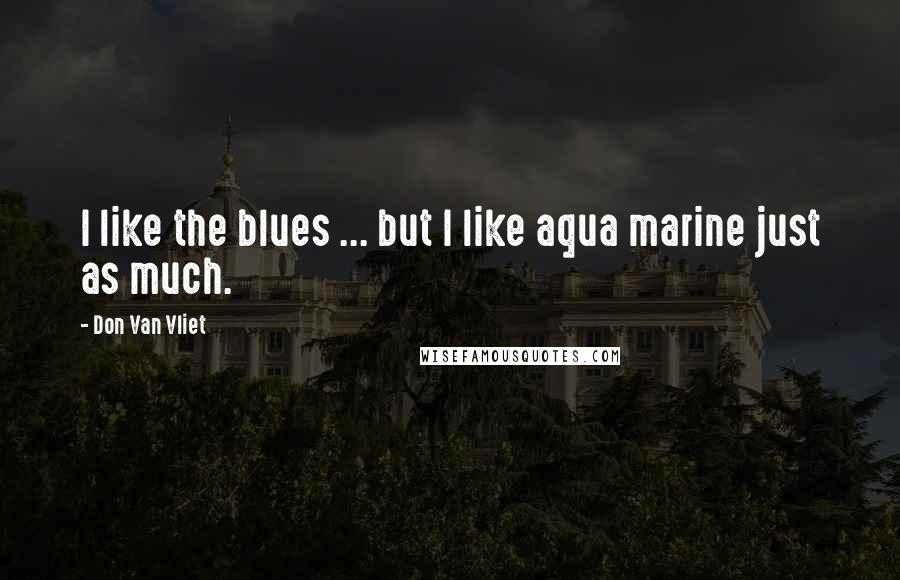 Don Van Vliet Quotes: I like the blues ... but I like aqua marine just as much.