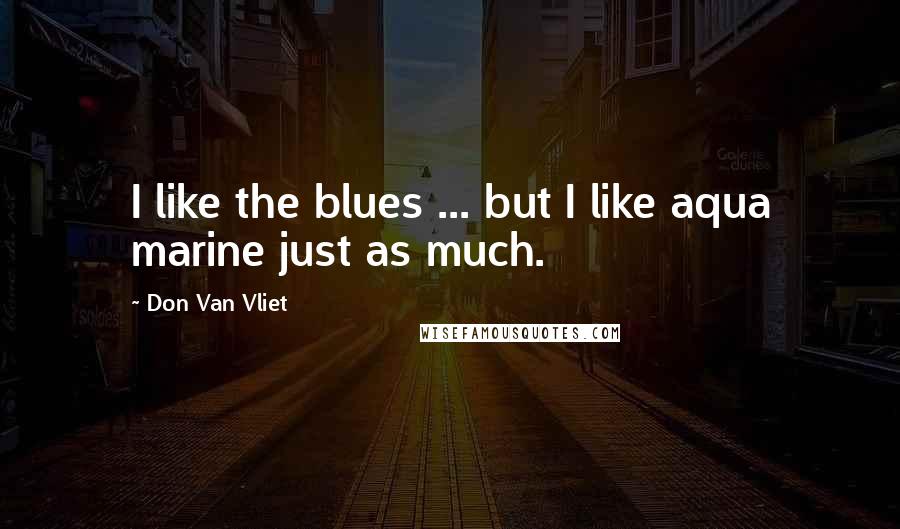 Don Van Vliet Quotes: I like the blues ... but I like aqua marine just as much.