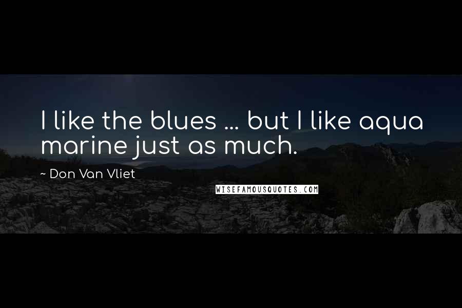 Don Van Vliet Quotes: I like the blues ... but I like aqua marine just as much.