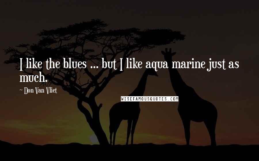 Don Van Vliet Quotes: I like the blues ... but I like aqua marine just as much.