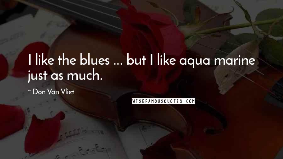 Don Van Vliet Quotes: I like the blues ... but I like aqua marine just as much.