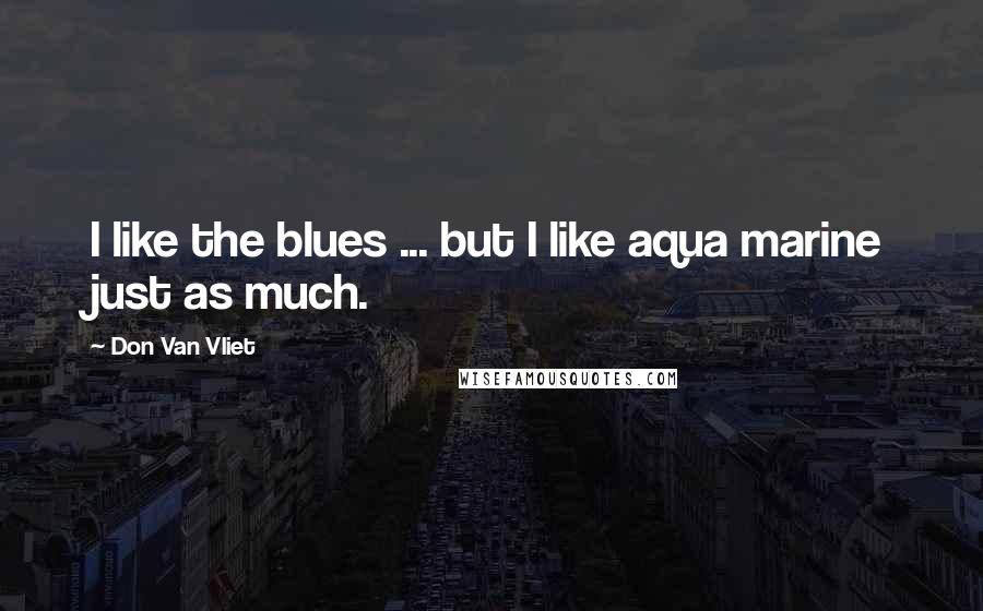 Don Van Vliet Quotes: I like the blues ... but I like aqua marine just as much.