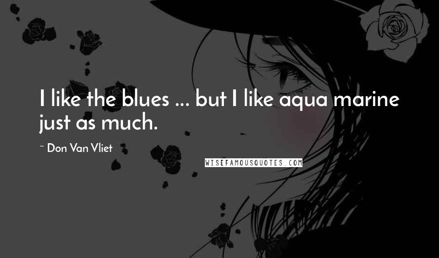 Don Van Vliet Quotes: I like the blues ... but I like aqua marine just as much.