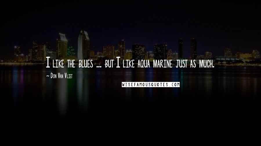 Don Van Vliet Quotes: I like the blues ... but I like aqua marine just as much.