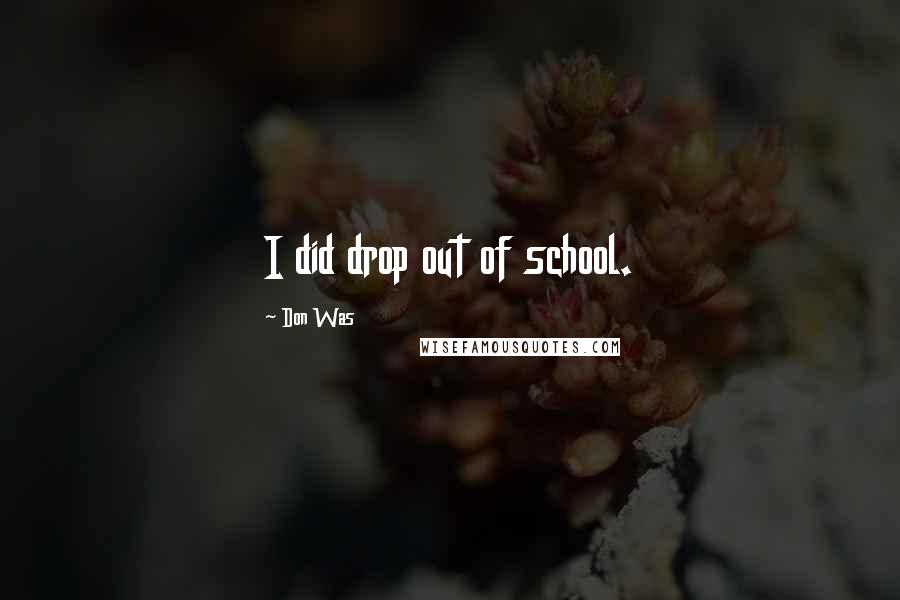 Don Was Quotes: I did drop out of school.