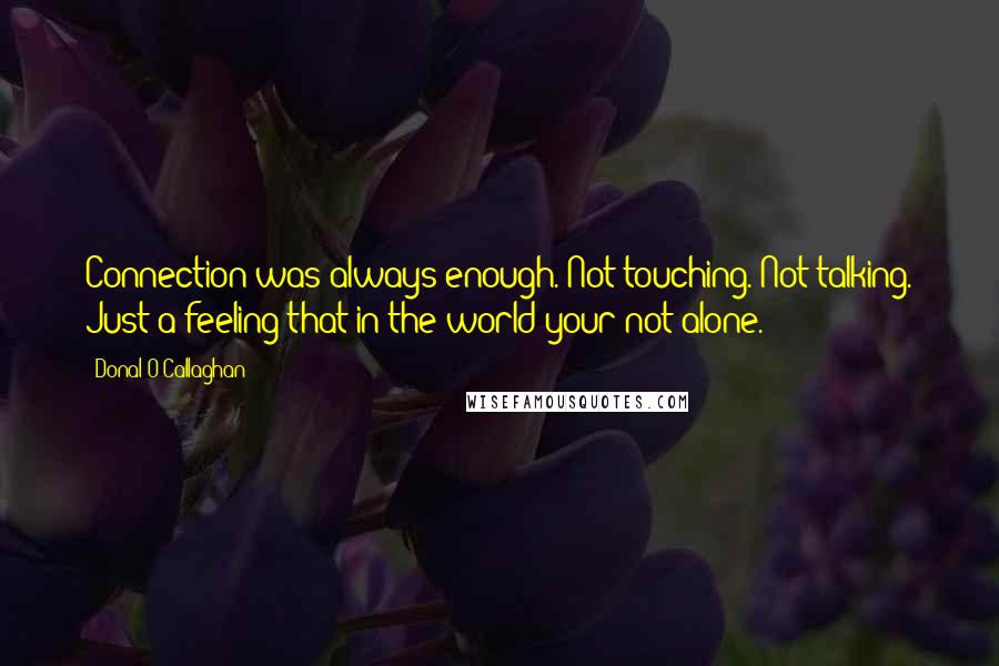 Donal O'Callaghan Quotes: Connection was always enough. Not touching. Not talking. Just a feeling that in the world your not alone.