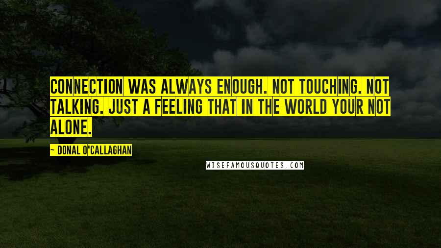 Donal O'Callaghan Quotes: Connection was always enough. Not touching. Not talking. Just a feeling that in the world your not alone.