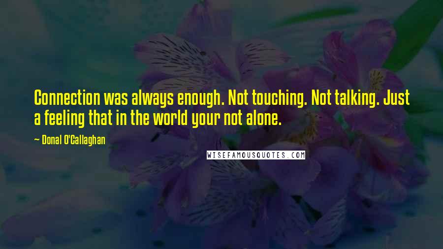 Donal O'Callaghan Quotes: Connection was always enough. Not touching. Not talking. Just a feeling that in the world your not alone.