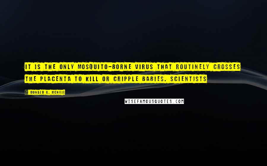 Donald G. McNeil Quotes: It is the only mosquito-borne virus that routinely crosses the placenta to kill or cripple babies. Scientists