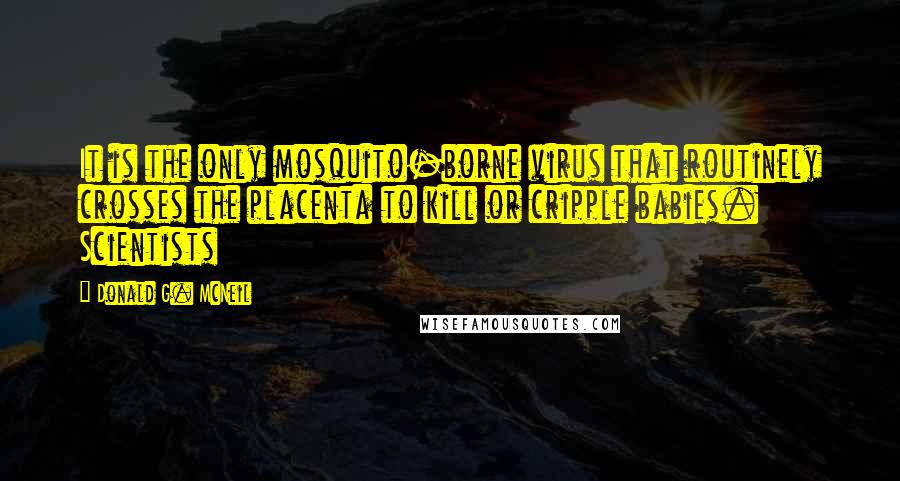 Donald G. McNeil Quotes: It is the only mosquito-borne virus that routinely crosses the placenta to kill or cripple babies. Scientists