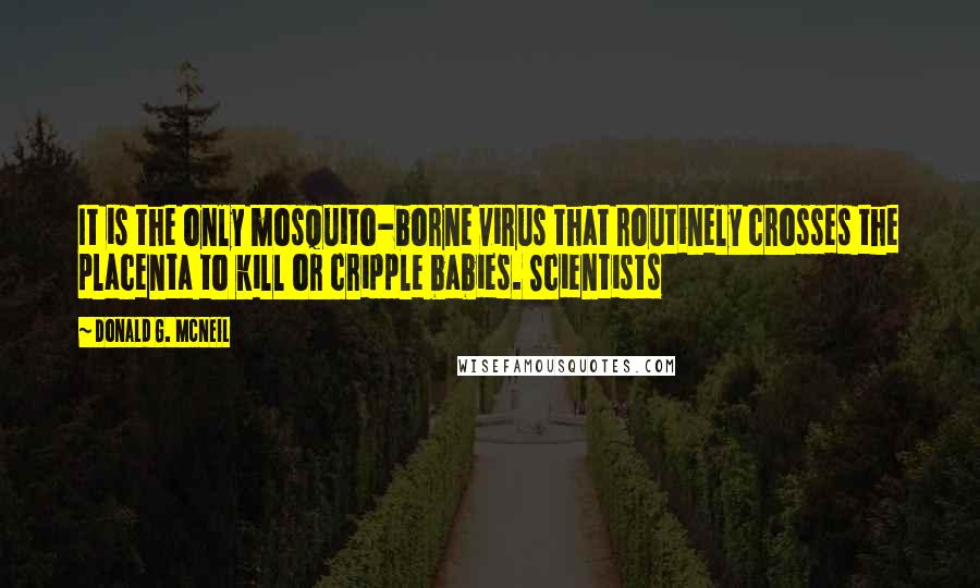 Donald G. McNeil Quotes: It is the only mosquito-borne virus that routinely crosses the placenta to kill or cripple babies. Scientists