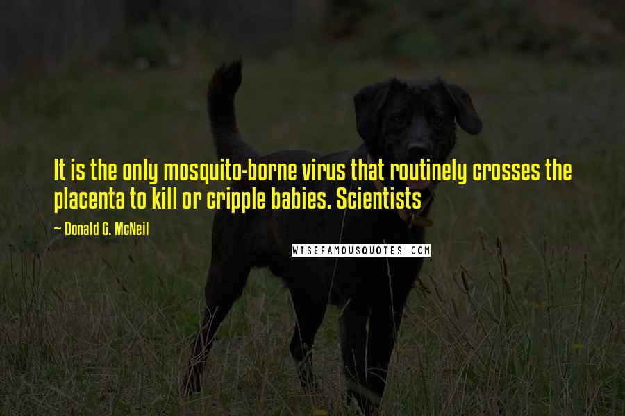 Donald G. McNeil Quotes: It is the only mosquito-borne virus that routinely crosses the placenta to kill or cripple babies. Scientists