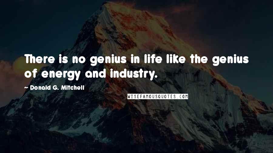 Donald G. Mitchell Quotes: There is no genius in life like the genius of energy and industry.