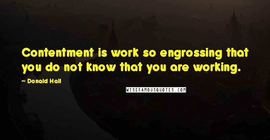 Donald Hall Quotes: Contentment is work so engrossing that you do not know that you are working.