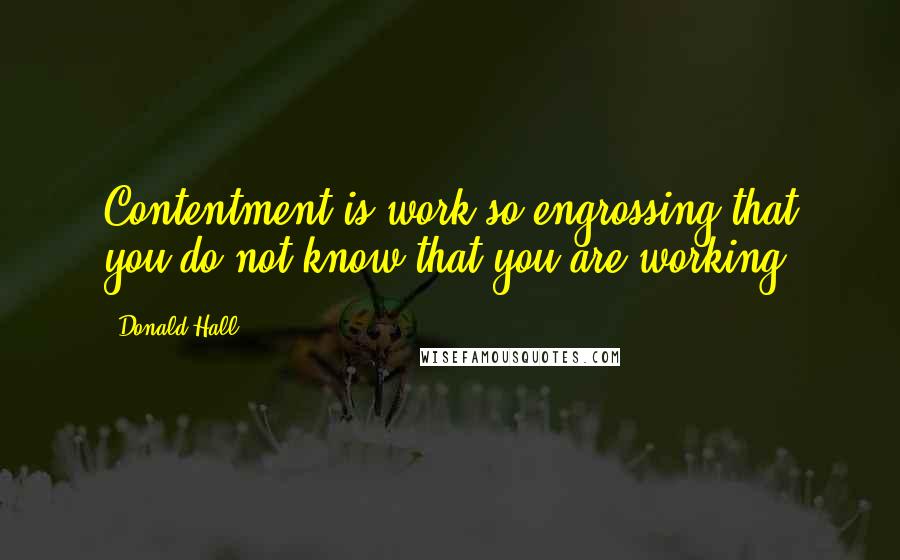 Donald Hall Quotes: Contentment is work so engrossing that you do not know that you are working.