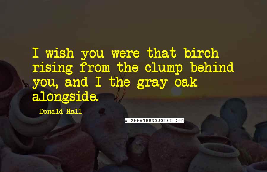 Donald Hall Quotes: I wish you were that birch rising from the clump behind you, and I the gray oak alongside.