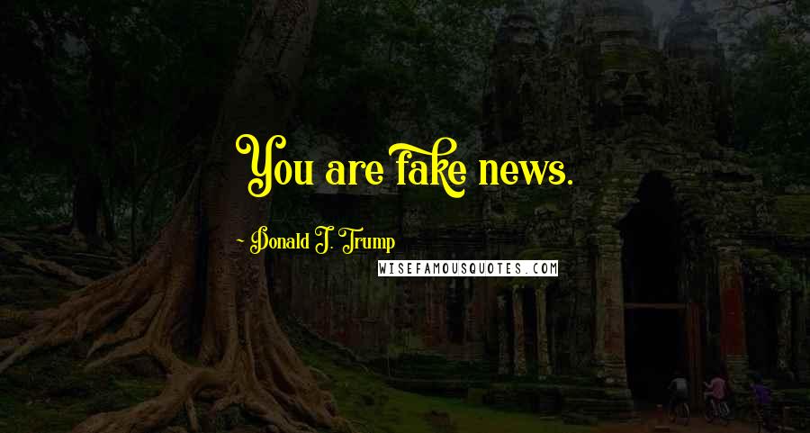 Donald J. Trump Quotes: You are fake news.