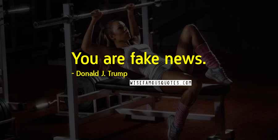 Donald J. Trump Quotes: You are fake news.