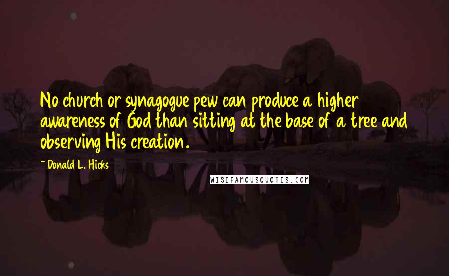 Donald L. Hicks Quotes: No church or synagogue pew can produce a higher awareness of God than sitting at the base of a tree and observing His creation.