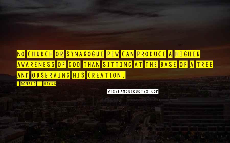 Donald L. Hicks Quotes: No church or synagogue pew can produce a higher awareness of God than sitting at the base of a tree and observing His creation.