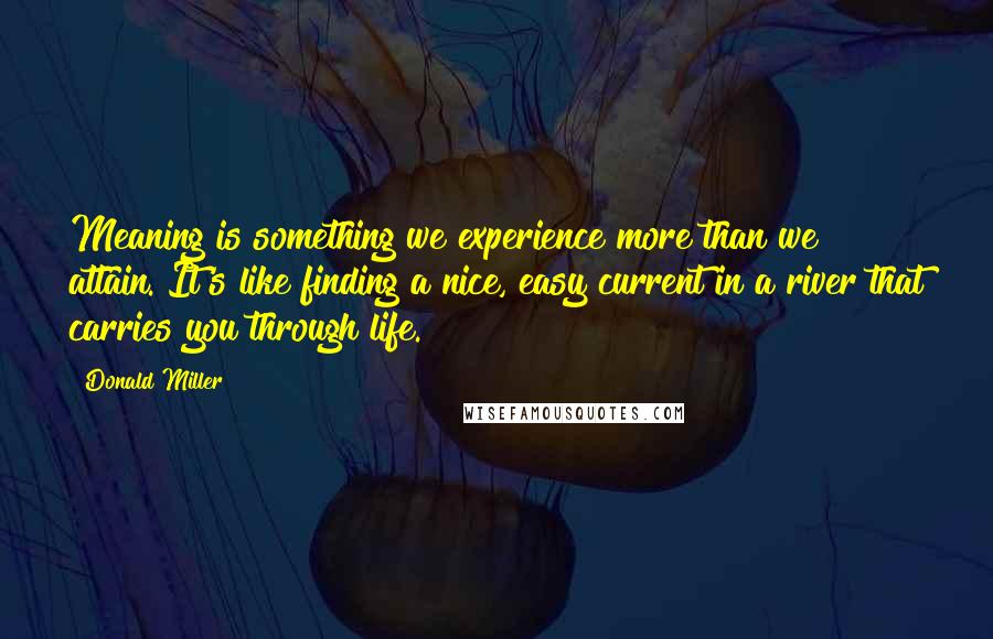 Donald Miller Quotes: Meaning is something we experience more than we attain. It's like finding a nice, easy current in a river that carries you through life.