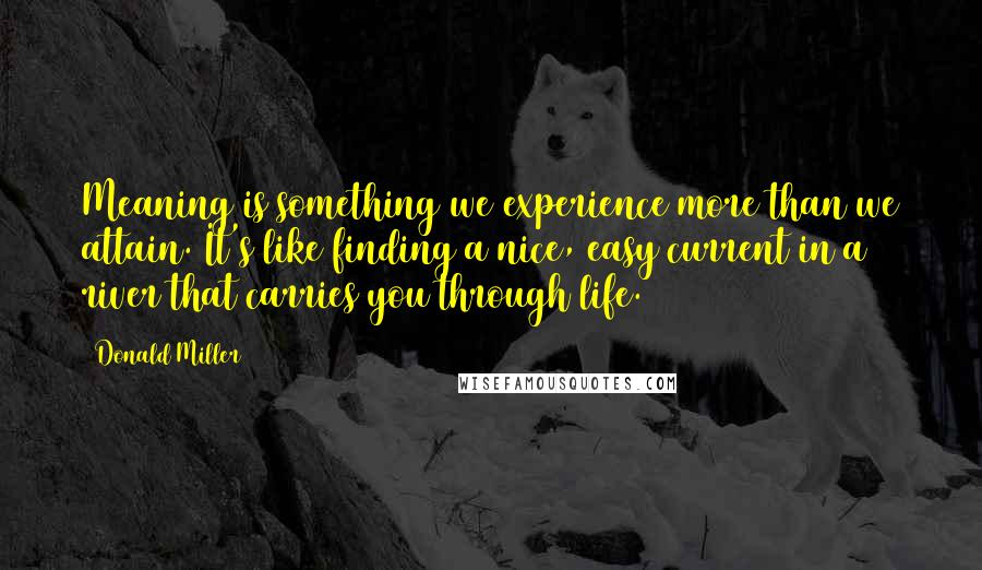 Donald Miller Quotes: Meaning is something we experience more than we attain. It's like finding a nice, easy current in a river that carries you through life.