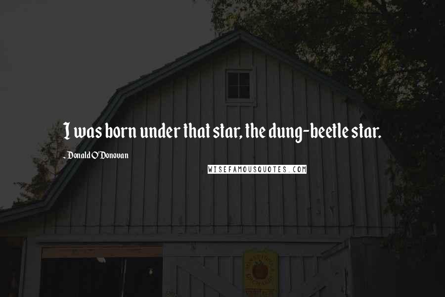 Donald O'Donovan Quotes: I was born under that star, the dung-beetle star.