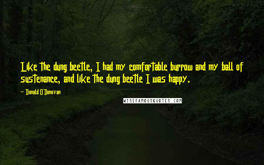 Donald O'Donovan Quotes: Like the dung beetle, I had my comfortable burrow and my ball of sustenance, and like the dung beetle I was happy.