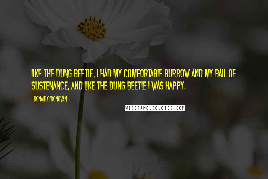 Donald O'Donovan Quotes: Like the dung beetle, I had my comfortable burrow and my ball of sustenance, and like the dung beetle I was happy.