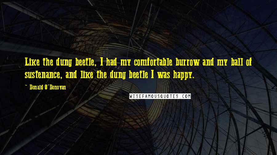 Donald O'Donovan Quotes: Like the dung beetle, I had my comfortable burrow and my ball of sustenance, and like the dung beetle I was happy.