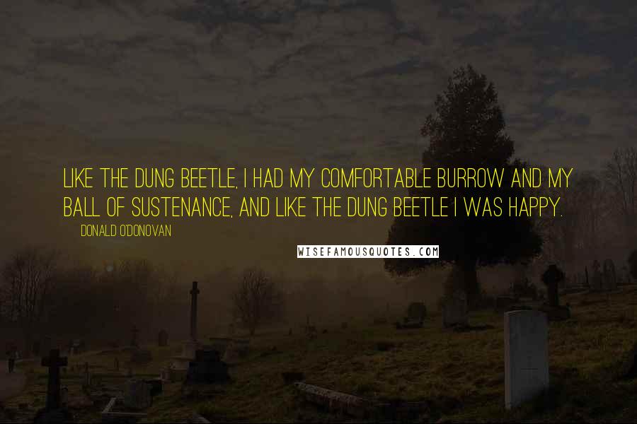 Donald O'Donovan Quotes: Like the dung beetle, I had my comfortable burrow and my ball of sustenance, and like the dung beetle I was happy.