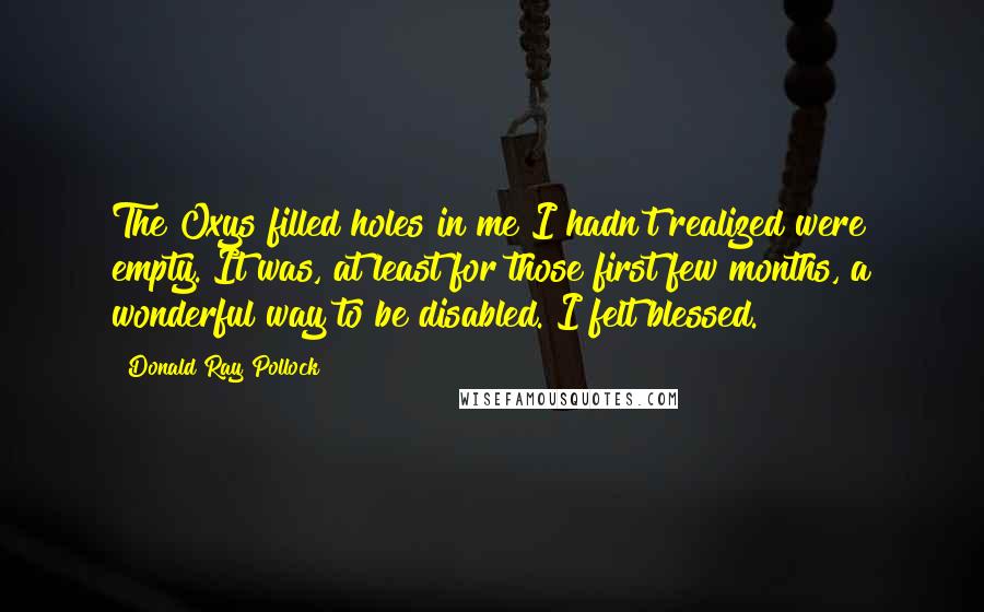 Donald Ray Pollock Quotes: The Oxys filled holes in me I hadn't realized were empty. It was, at least for those first few months, a wonderful way to be disabled. I felt blessed.