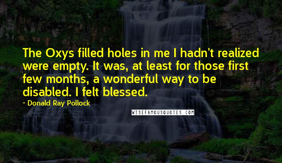 Donald Ray Pollock Quotes: The Oxys filled holes in me I hadn't realized were empty. It was, at least for those first few months, a wonderful way to be disabled. I felt blessed.