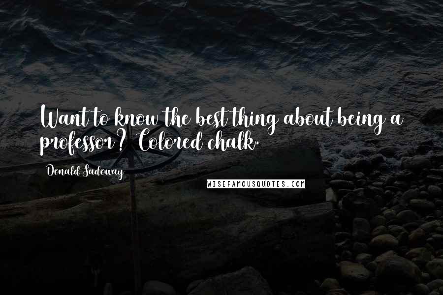 Donald Sadoway Quotes: Want to know the best thing about being a professor? Colored chalk.