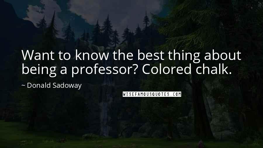 Donald Sadoway Quotes: Want to know the best thing about being a professor? Colored chalk.
