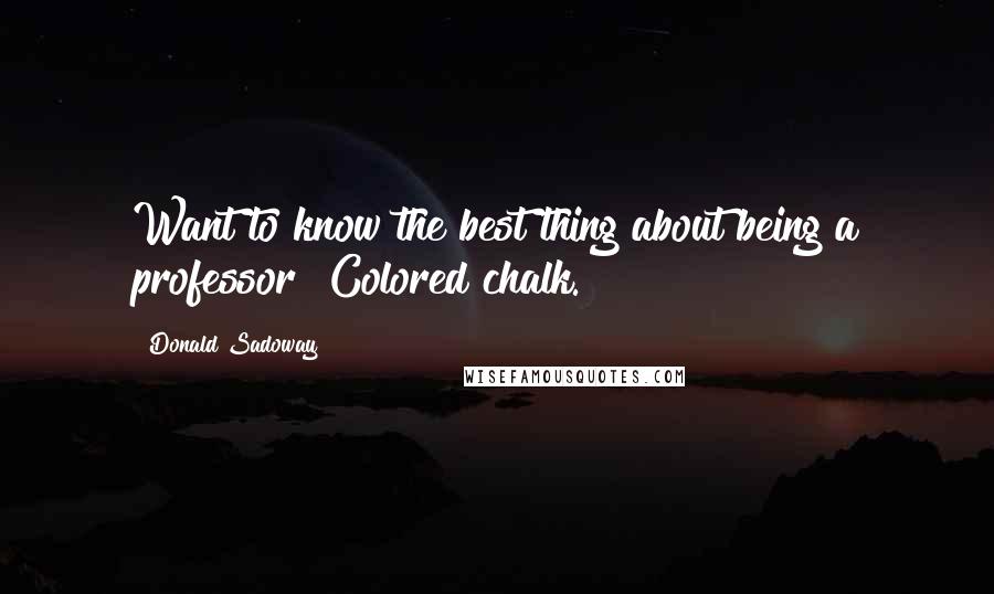 Donald Sadoway Quotes: Want to know the best thing about being a professor? Colored chalk.