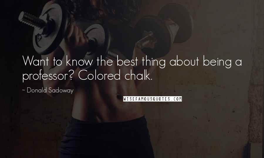 Donald Sadoway Quotes: Want to know the best thing about being a professor? Colored chalk.