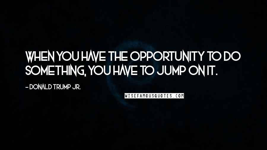 Donald Trump Jr. Quotes: When you have the opportunity to do something, you have to jump on it.