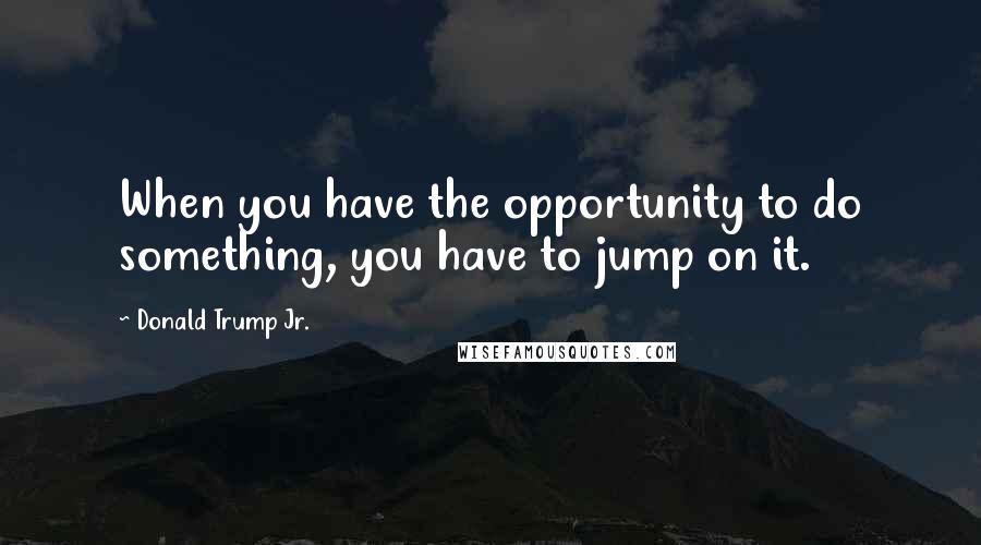 Donald Trump Jr. Quotes: When you have the opportunity to do something, you have to jump on it.