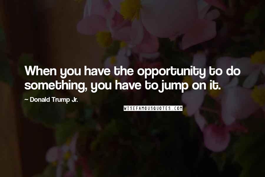 Donald Trump Jr. Quotes: When you have the opportunity to do something, you have to jump on it.
