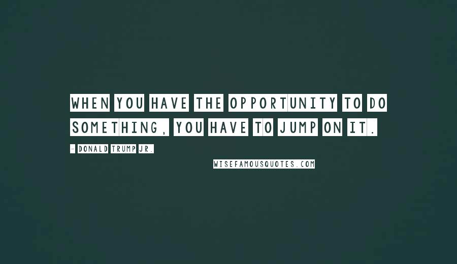 Donald Trump Jr. Quotes: When you have the opportunity to do something, you have to jump on it.