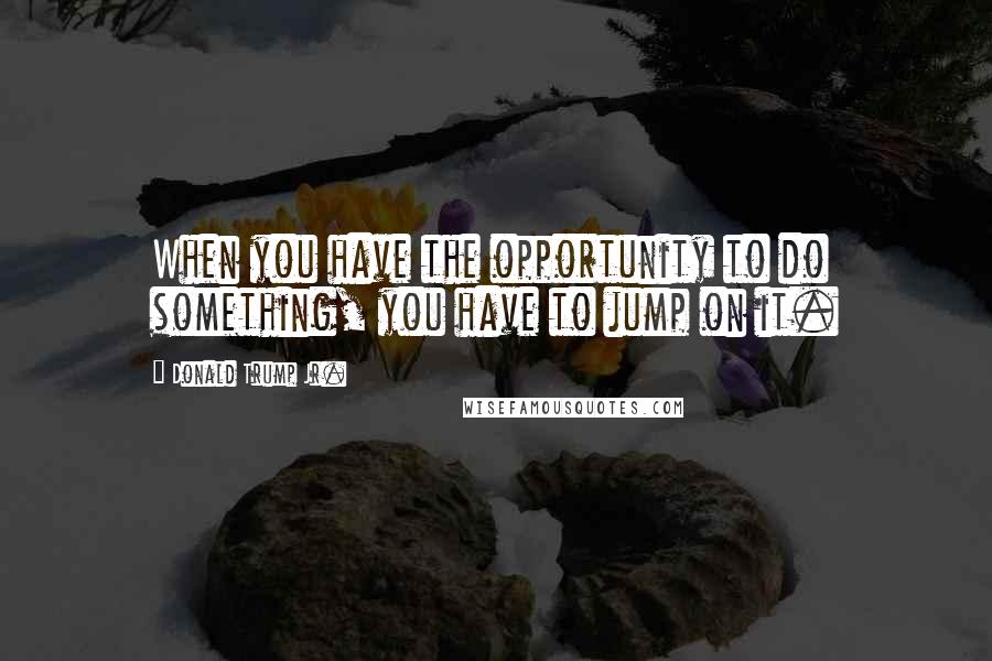 Donald Trump Jr. Quotes: When you have the opportunity to do something, you have to jump on it.