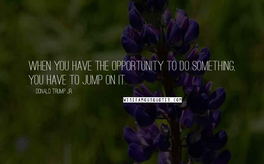 Donald Trump Jr. Quotes: When you have the opportunity to do something, you have to jump on it.