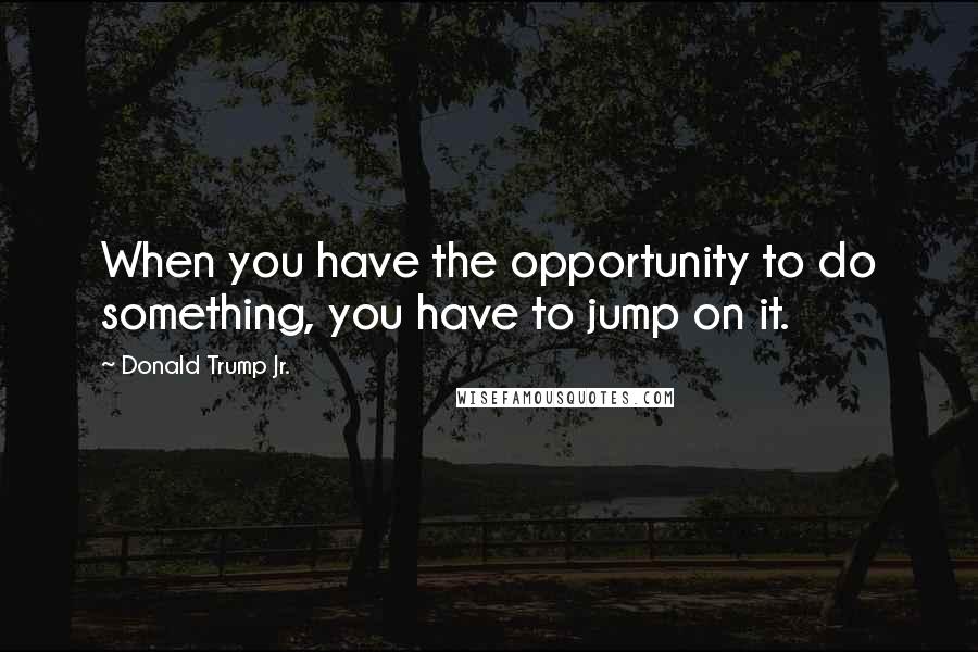 Donald Trump Jr. Quotes: When you have the opportunity to do something, you have to jump on it.