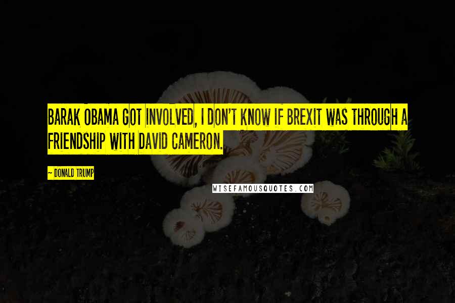 Donald Trump Quotes: Barak Obama got involved, I don't know if Brexit was through a friendship with David Cameron.