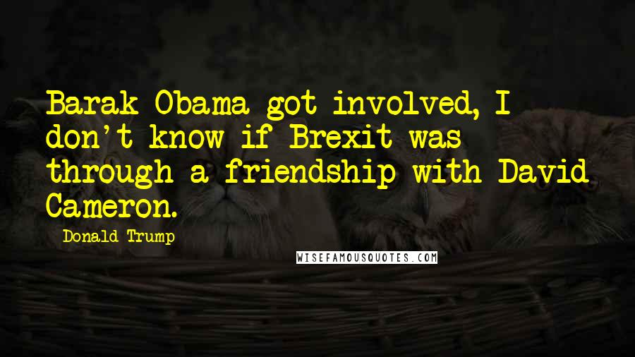Donald Trump Quotes: Barak Obama got involved, I don't know if Brexit was through a friendship with David Cameron.