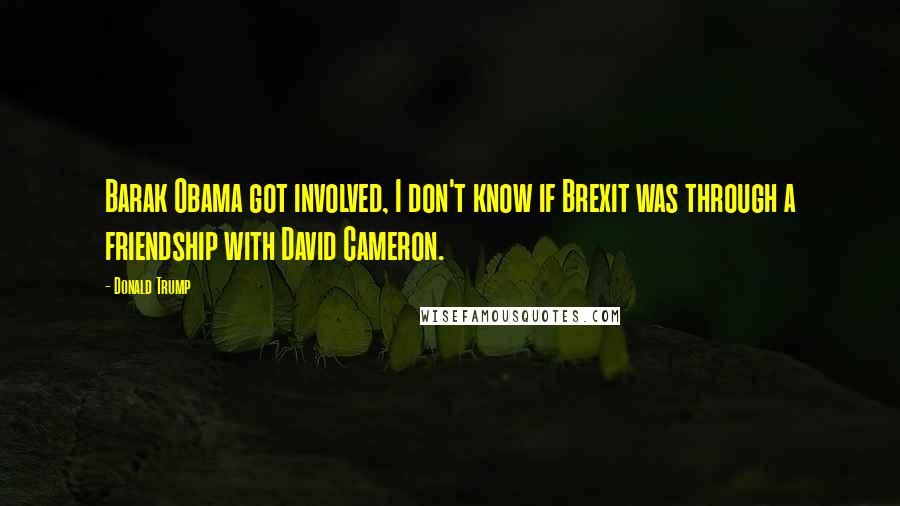 Donald Trump Quotes: Barak Obama got involved, I don't know if Brexit was through a friendship with David Cameron.