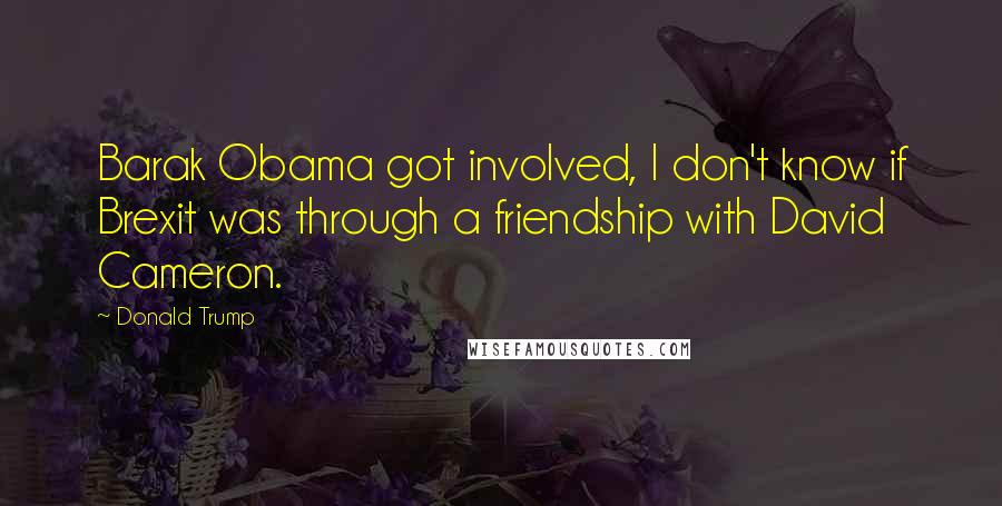 Donald Trump Quotes: Barak Obama got involved, I don't know if Brexit was through a friendship with David Cameron.