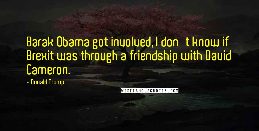 Donald Trump Quotes: Barak Obama got involved, I don't know if Brexit was through a friendship with David Cameron.