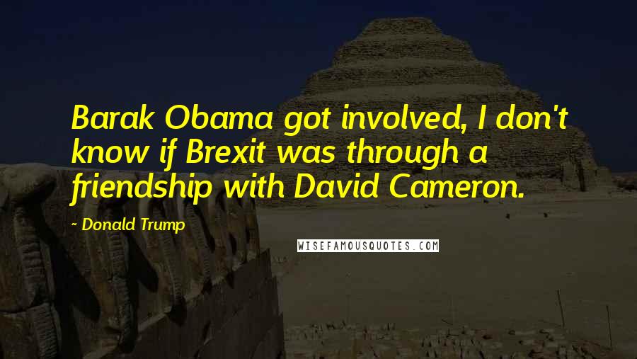 Donald Trump Quotes: Barak Obama got involved, I don't know if Brexit was through a friendship with David Cameron.